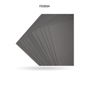FOAMY CARTA AH ROYAL GRIS CLARO TENUE  X 10 UNDS [AH10103315]