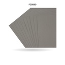 FOAMY 1/8 AH ROYAL GRIS CLARO X 10 UNDS [AH80103315]