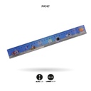 REGLA ESTAMPADA 30CM FINA[PAC3269]