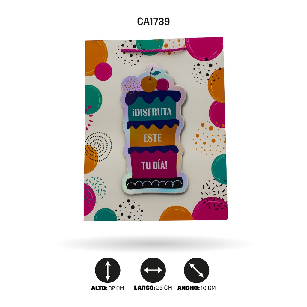 BOLSA REGALO 3D, CON RELIEVE 4 MOTIVOS 26x32x10 210grs YM-1909-M [PAC5152]