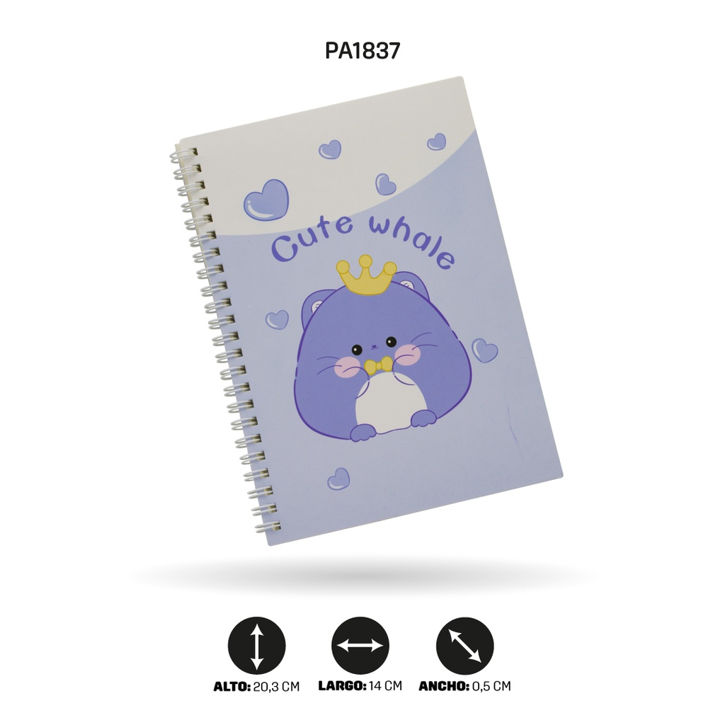 AGENDA XX-3212 GATICO, PATO, CASTOR Y HANSTER DISP X 12 [PAC4567]