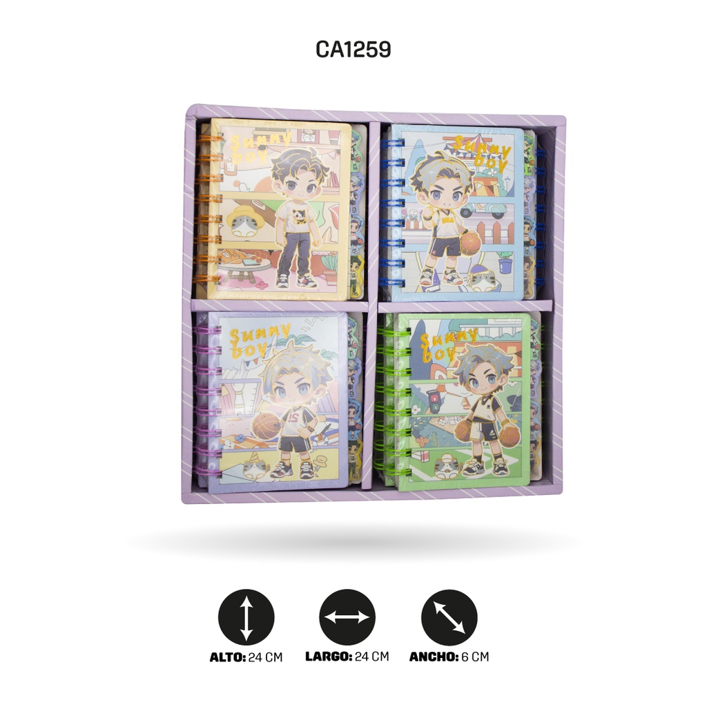 AGENDA A7-202-01 DISPLEY X 20[PAC4649]