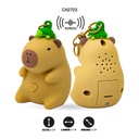 LLAVERO CON VOZ AB-9201 VERDE Y CAFE [PAC5831-PAC5832]
