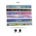 REGLA ESTAMPADA 30CM FINA [PAC3269]