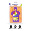 DIDACTICO DE FOAMY SISTEMA DIGESTIVO [PAC5874]