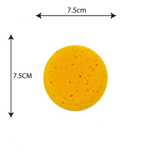 [AR121] ESPUMA REDONDA POROSA 809-1 [PAC20183-121]