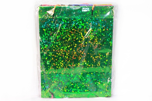 BOLSA DE REGALO HOLOGRAMADA NO. 2 GRUESA (18cm x 23cm x 10 cm) x 180grs [PAC30049-2738]