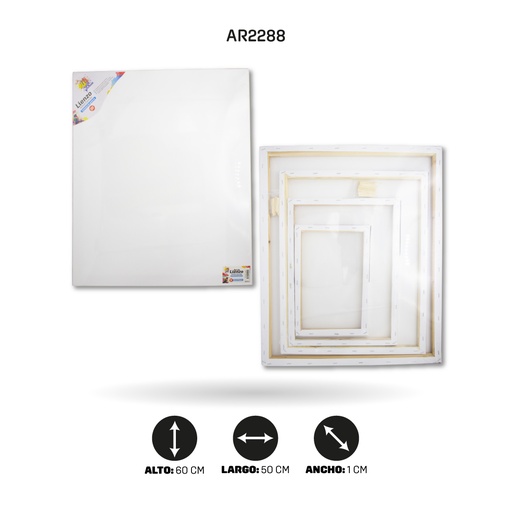 [AR2288] LIENZOS ARTISTICOS SET  X 4PCS (50X60 - 40X50 -30X40 - 20X30) [PAC4843-2288]