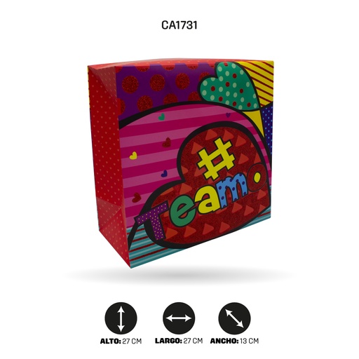 [CA1731] BOLSA REGALO TIPO CAJA DISPLAY X12 UND 3D 27x27x13cm 210grs YM-2011-L DISPLAY X12[PAC5161]