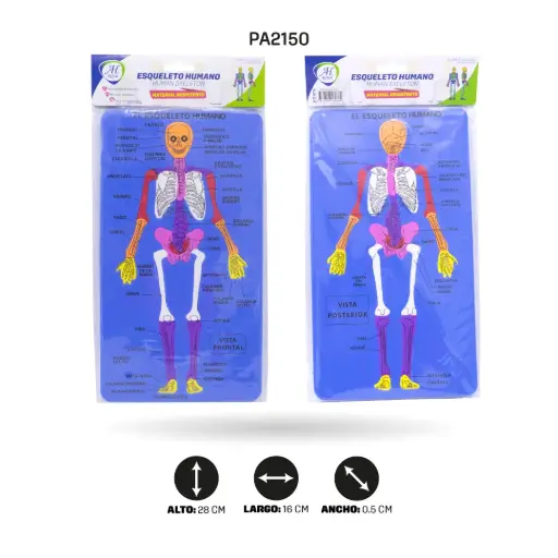 [PA2150] DIDACTICOS FOAMY -ESQUELETO HUMANO [PAC5866]