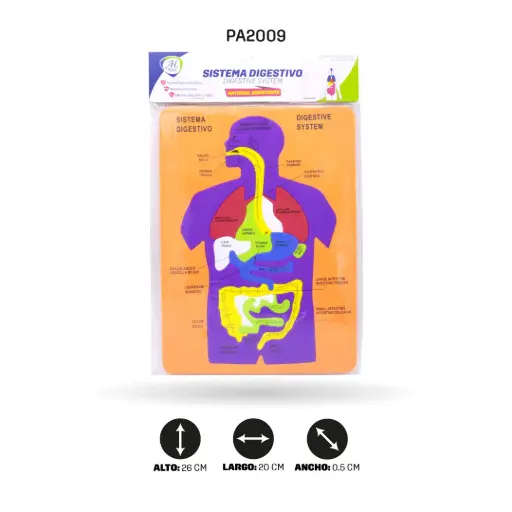 [PA2009] DIDACTICO DE FOAMY SISTEMA DIGESTIVO [PAC5874]